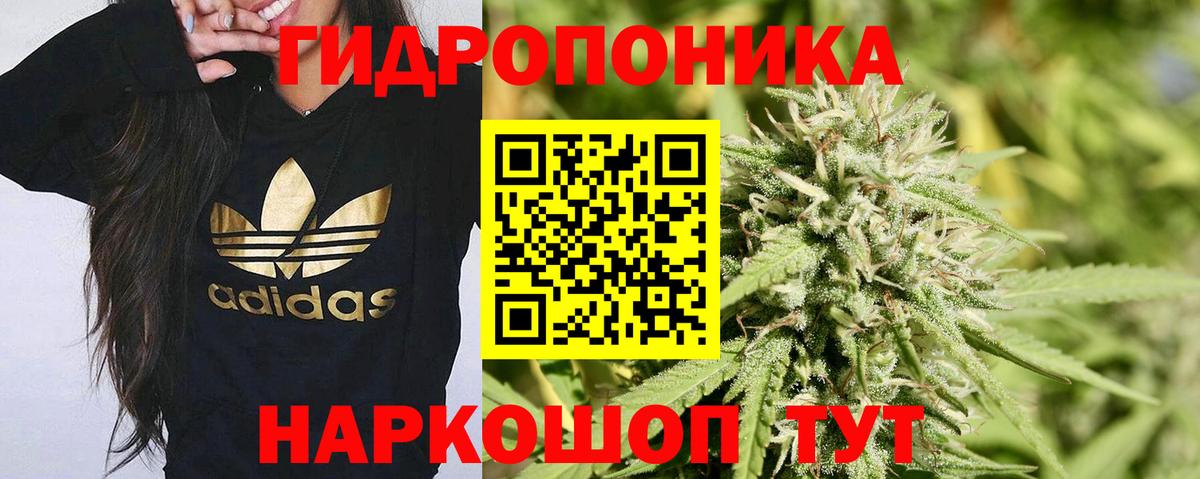 Мариинск  Бошки Шишки семена  Вход с VPN  Конопля MAZAR  Марихуана AK-47  Бошки Шишки MAZAR 